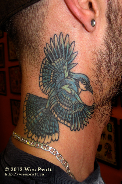 blue jay tattoo meaning