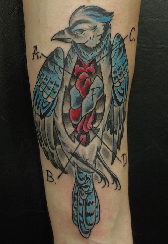 Blue Jay Bird Tattoos Last Sparrow Tattoo