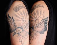 Eagle and Skydiver