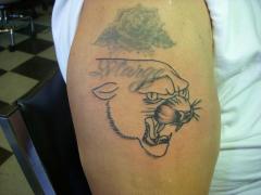 panther cover up