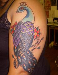peacock cover up