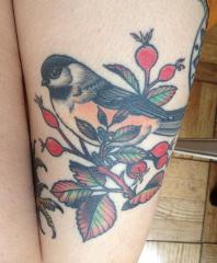 Chickadee and Rosehips by Seth Wood