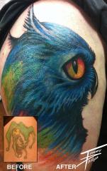 OWL COVERUP