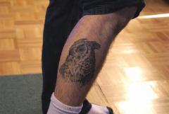 Great Horned Owl on my leg