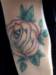 Elbow rose