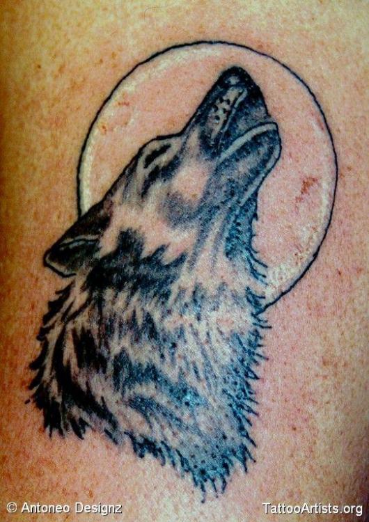 a003a8804f1e8a6a2b6e003160bf3ef0--howling-wolf-tattoo-tattoo-wolf.jpg