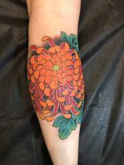 Chrysanthemum by Mike Rubendall